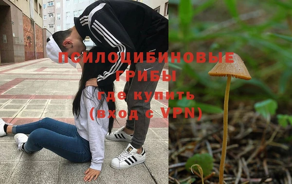 гидра Ладушкин