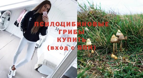 гидра Ладушкин