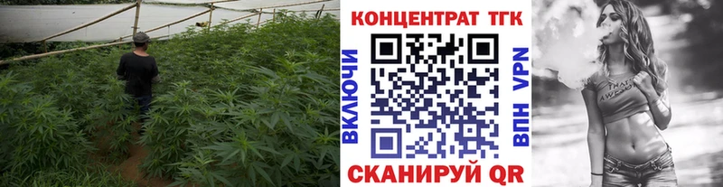 ТГК Wax  Ясный 