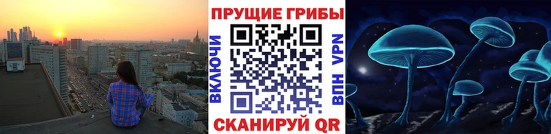 наркошоп  Ясный  Галлюциногенные грибы Cubensis 